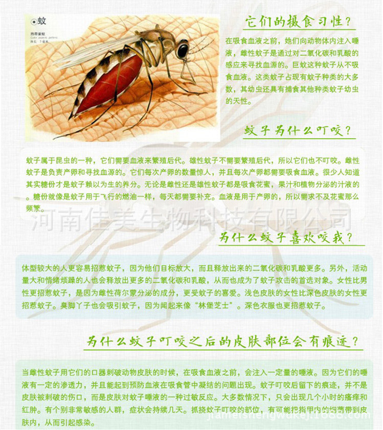 代加工花露水 驱蚊水喷剂 祛痱止痒 清热消暑驱蚊液oem