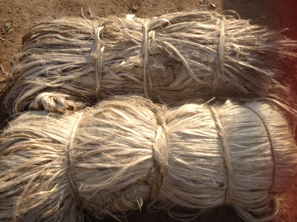 100公斤白麻 环保麻片 线麻 二级白麻 山东当地白麻