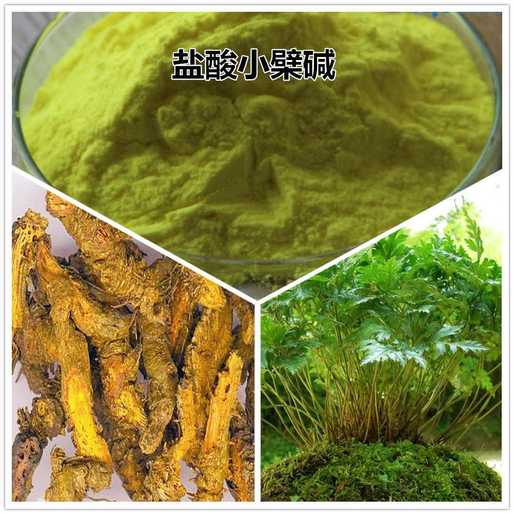 森冉生物盐酸小檗碱97黄连素黄连提取物