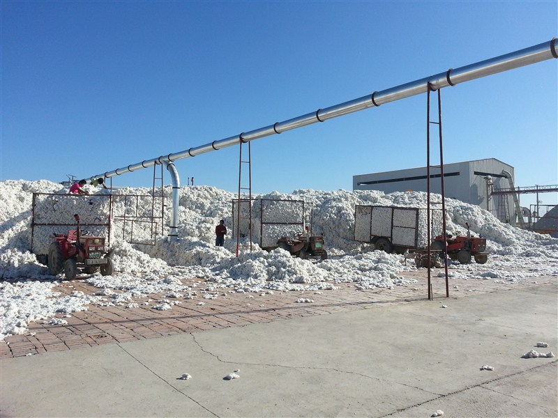 新疆棉花一级长绒棉 棉被被胎散装皮棉 纺织原料原产地 特价