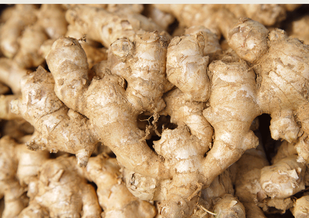 贵州小黄姜特产辛辣蔬菜农家自种鲜姜绿色老姜调味品食品散装批发