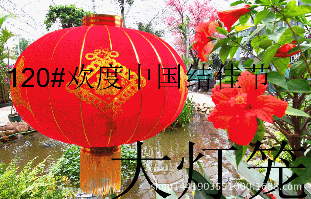 中国结_副本