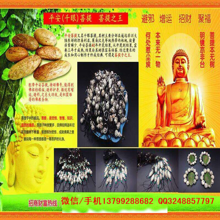 千眼菩提简介:菩提子是续软陶香水另外一波全国火热的旅游产品,菩提子