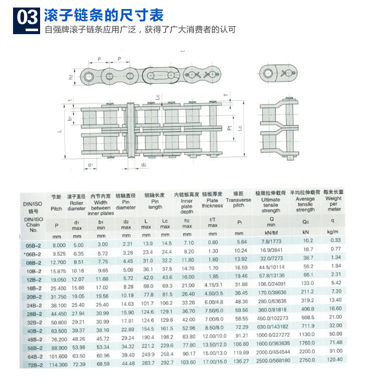 供应杭州东华链条自强链条08b-2 donghua roller chain offer