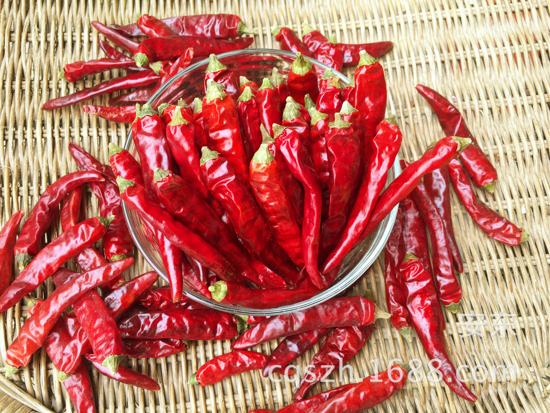 供应特香艳椒石柱红5号 香辣 耐煮 武汉鸭脖 重庆火锅专用