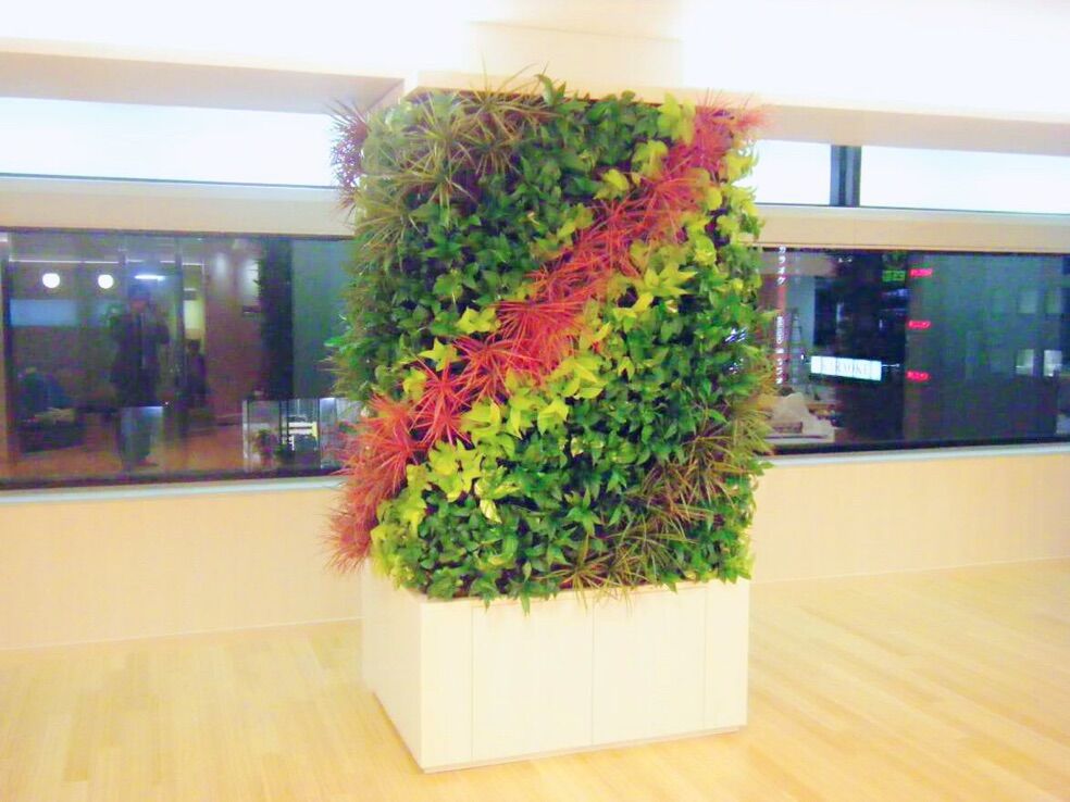 振升园艺 花之物语 鲜活植物墙 绿植艺术墙 招加盟代理商