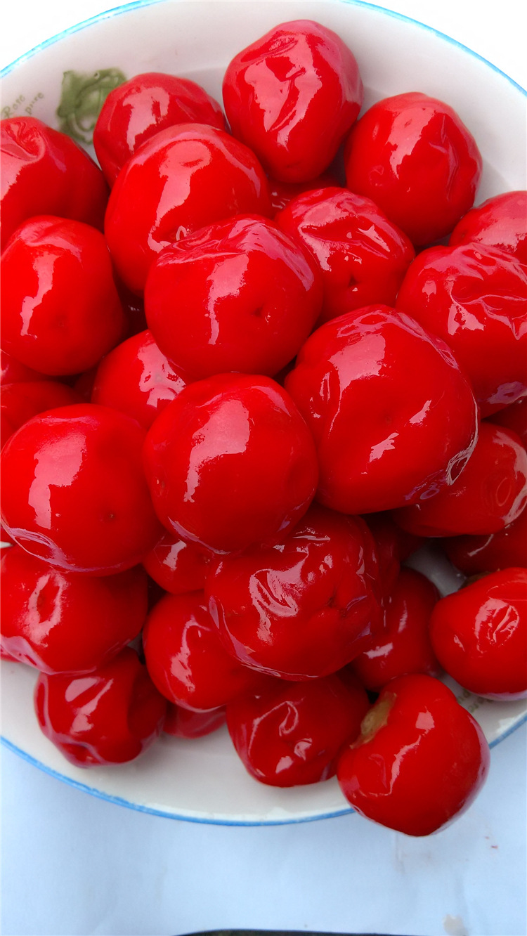 四川特产泡朝天椒新鲜泡椒墨鱼仔专用30kg圆泡椒泡红椒泡菜批发