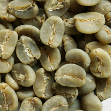 印度尼西亚苏门答腊林东曼特宁G1咖啡豆四次手选咖啡生豆进口新豆