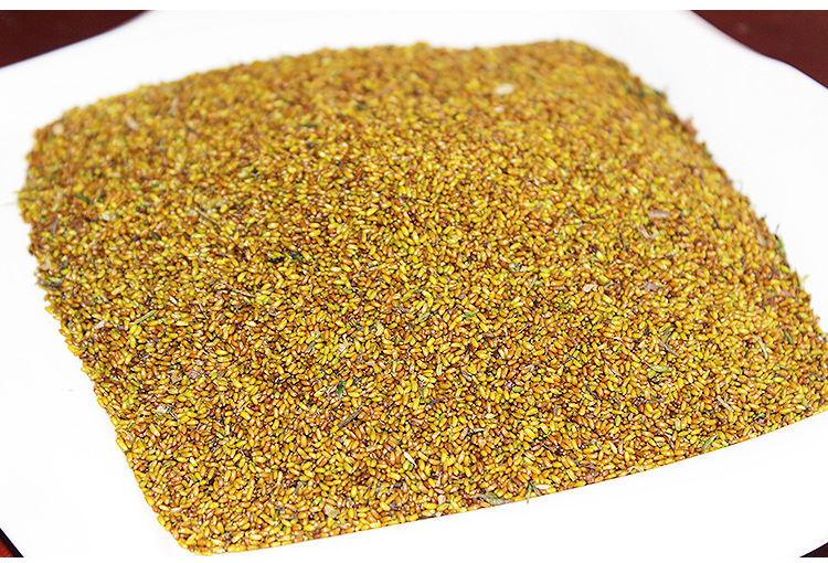 批发清热去火黄连种子 2016年秋2年生纯新种子 高纯度高.