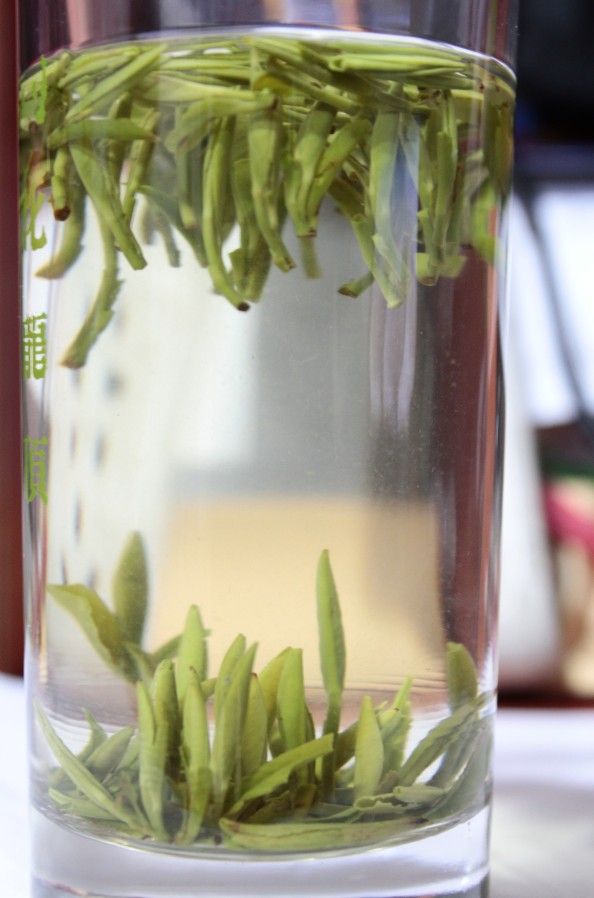 2015年新产四川龙顶茶 针茶 清香味 明前单芽 批发