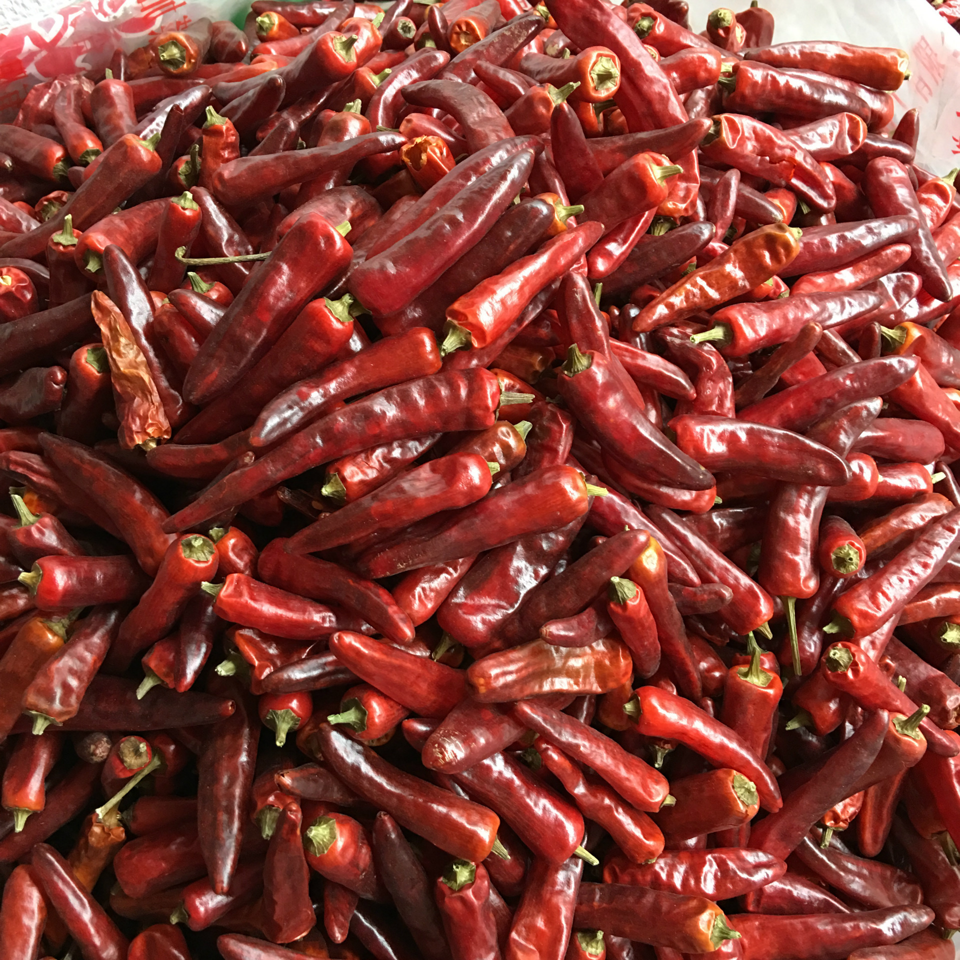 批发重庆石柱红干辣椒 特香特辣的海椒中餐火锅麻辣烫辣椒500克袋