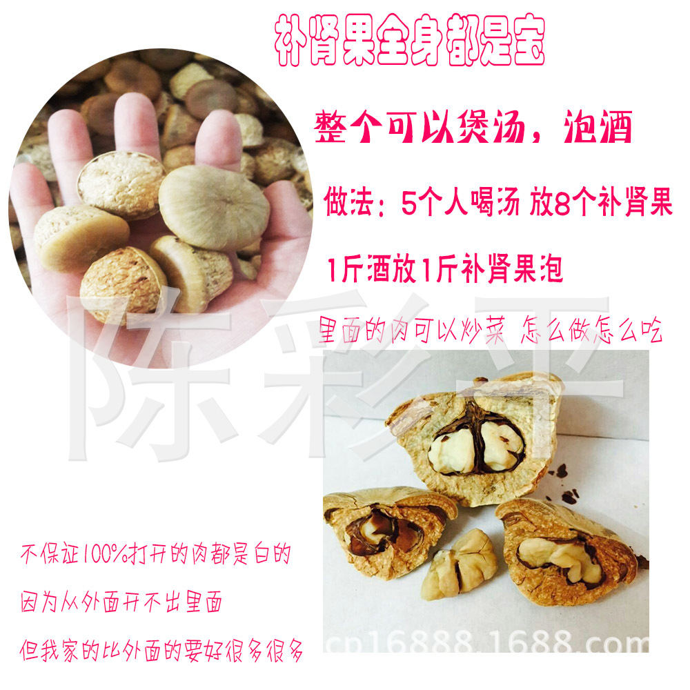 优质上等货 风流果 补肾果 金龟子 农户新摘土货