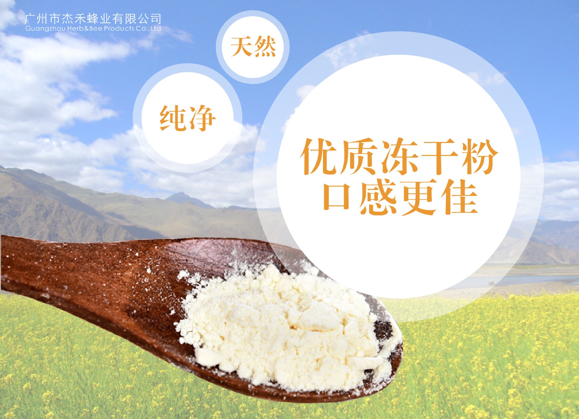 厂家直销蜂王浆冻干粉