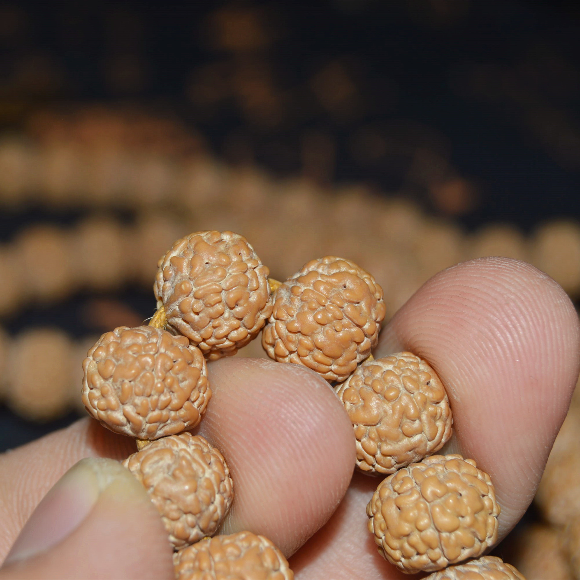 尼泊尔高密黄皮爆肉麒麟纹 麒麟背 龙鳞纹小金刚手串 114粒菩提子