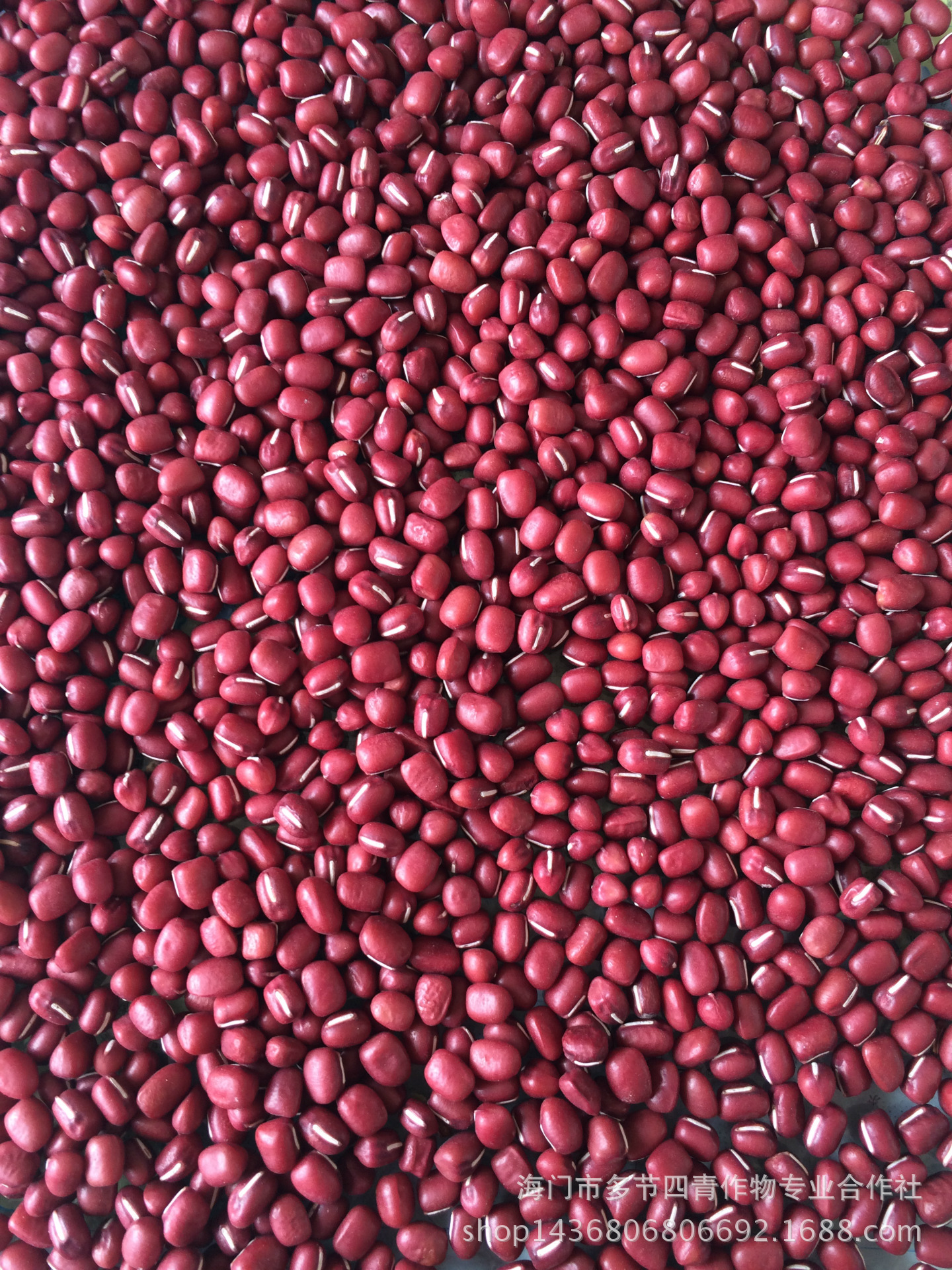 农家自种大红袍赤豆 五谷杂粮养颜养生