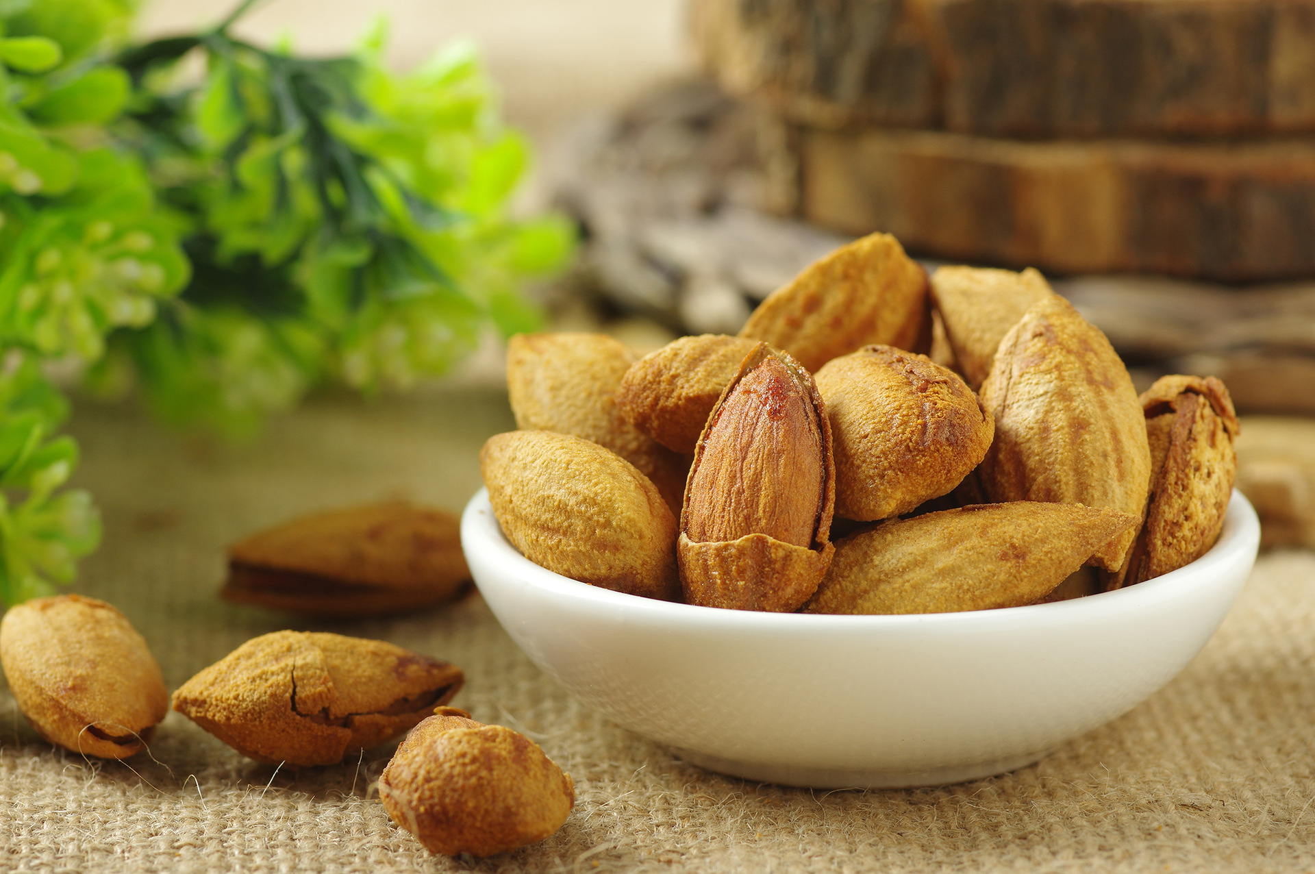 巴旦木np 优质奶香味 纯薄壳杏仁np巴旦木 250g 炒货干果