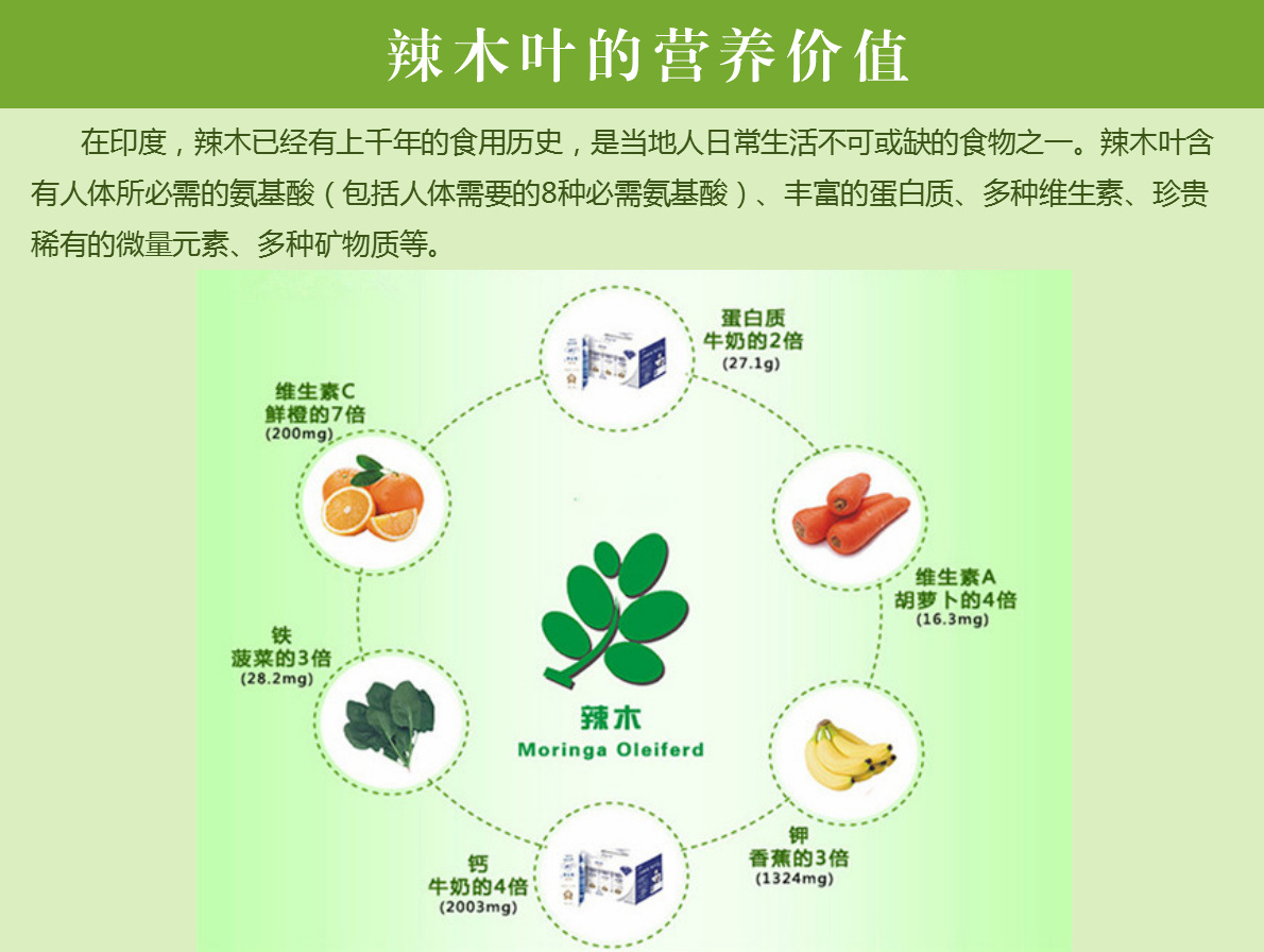 老人身体基础营养补充食品 辣木叶片 微商热销代发批发 代理.