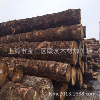 细纹花旗松原木 铁杉云杉原木 园林古建筑寺庙木材 量