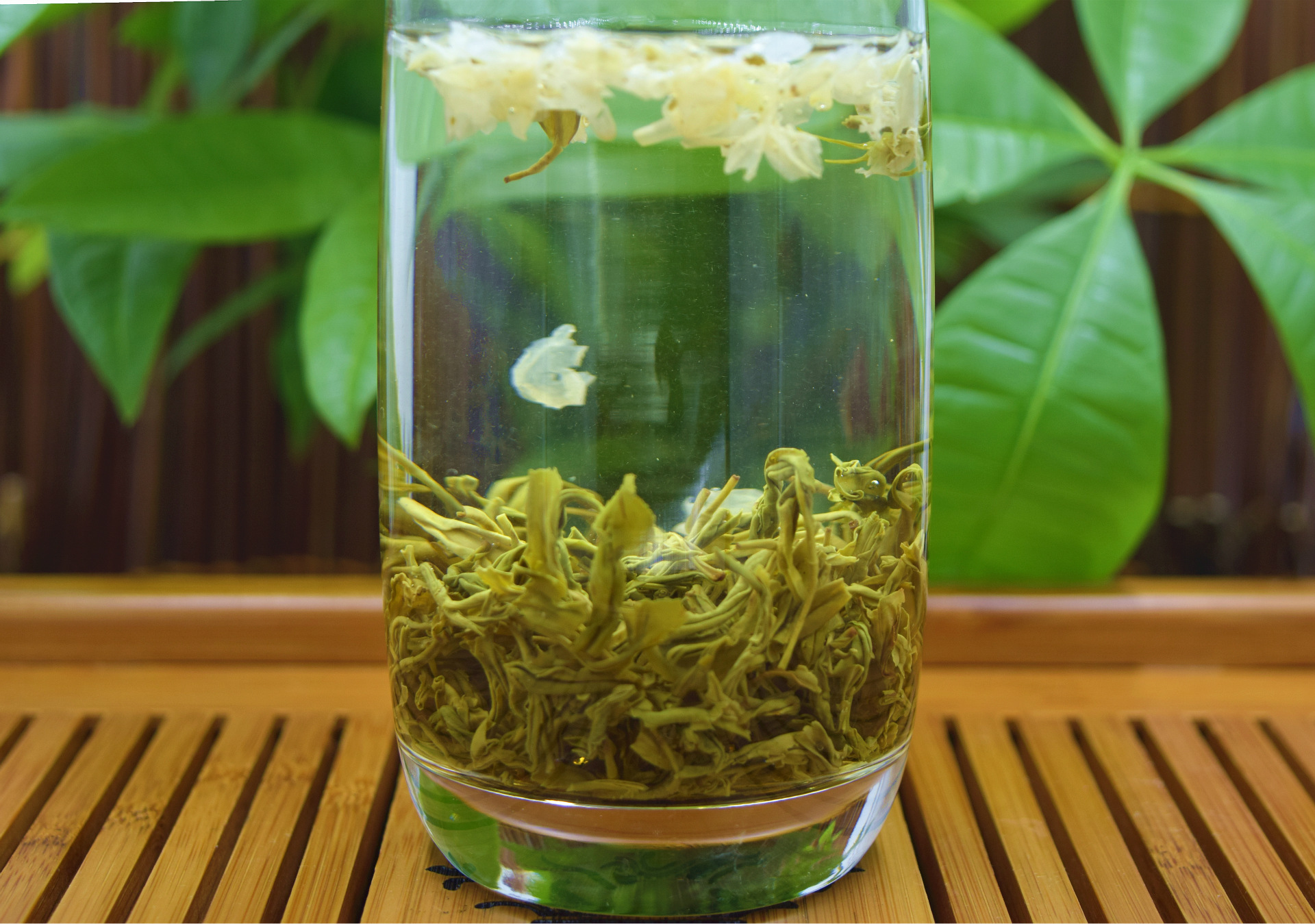 2016新花茶飘雪类茉莉花茶花毛峰四川特产香味浓厚