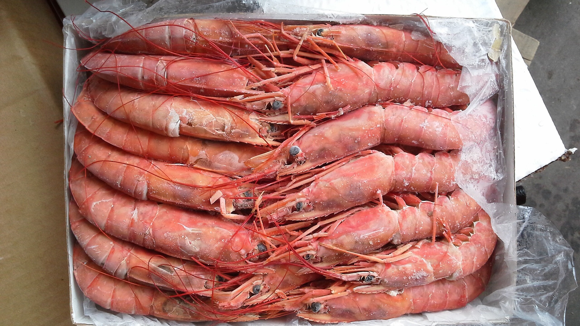 厄瓜多尔红虾 阿根廷红虾 进口海鲜 2015新品上市 料理