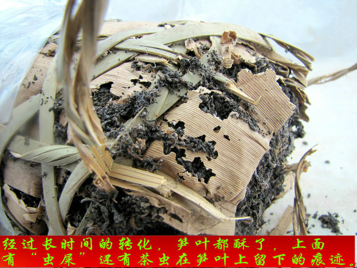 云南普洱茶80年代虫屎茶老生茶柱5公斤一柱纯干仓 支持批发