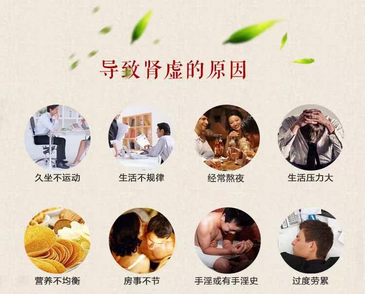 批发 养生茶固精五宝温肾茶肾虚男黄精枸杞玛 固本茶 袋泡茶