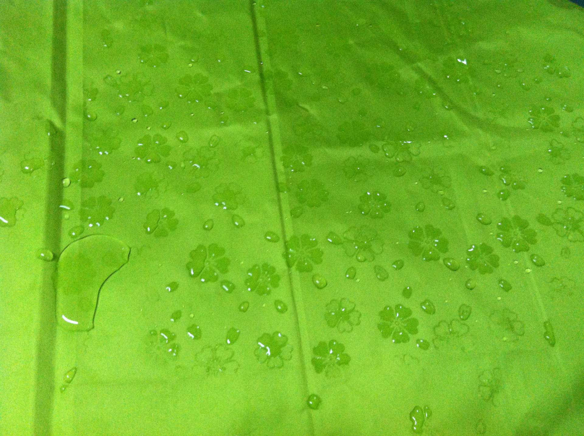 新品研发 遇水开花变色布料魔术水浮印花布