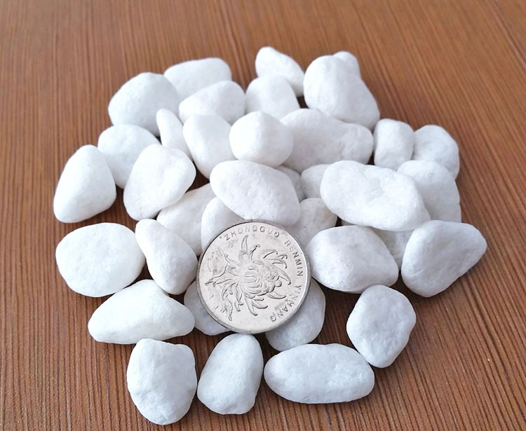 园艺白石子 盆栽装饰石头 汉白玉 鱼缸装饰铺地鹅卵石雨花石