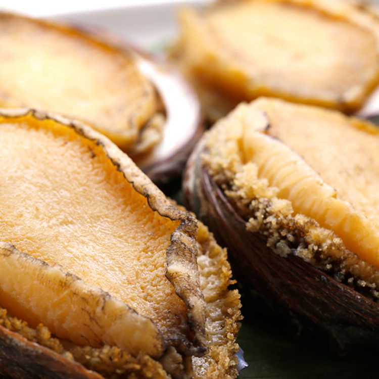 福建鲍鱼南日岛精品鲍鱼去肚冷冻熟鲍鱼宴席鲍230g10头装鲍鱼