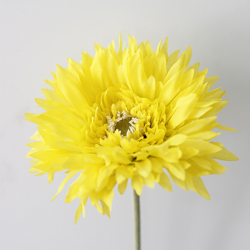 仿真花千层菊 植毛杆美人菊 假花批发 义