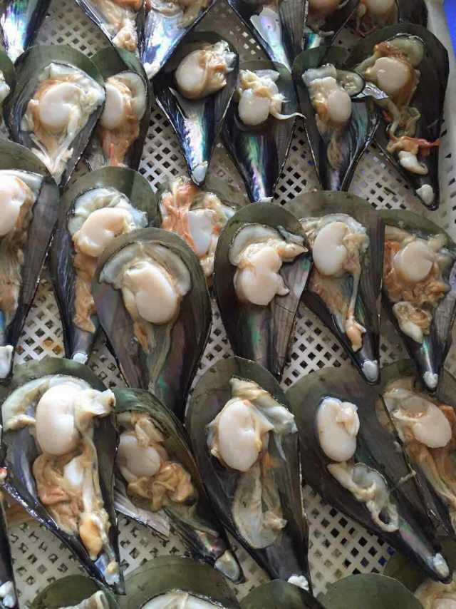 供应半壳带子  江瑶贝 冷冻海鲜产品商品描述净重