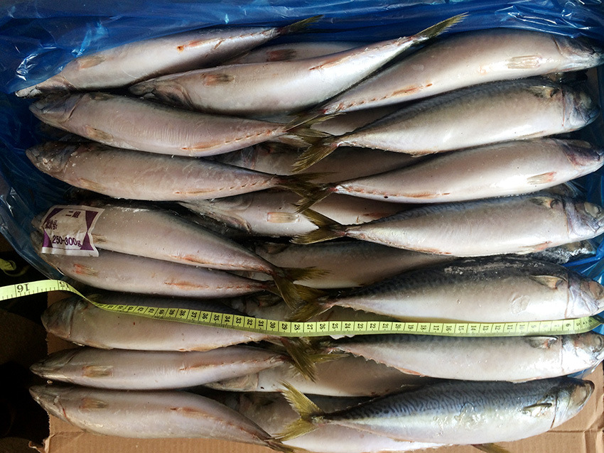 250g-300gˮ������ (8)