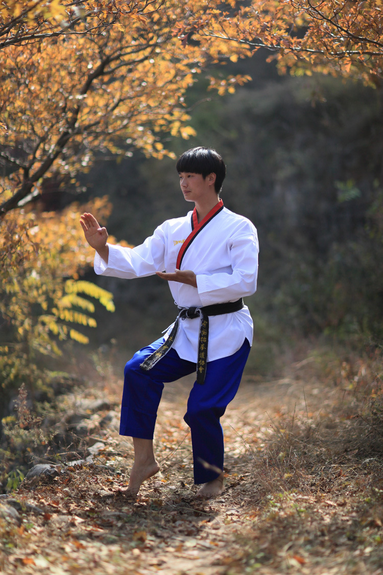 力搏王新款成人儿童跆拳道品势道服