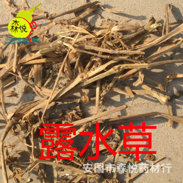 露水草 批发冷背中药材 珍珠露水草 换肺散 鸡冠参 蓝耳草 专药用