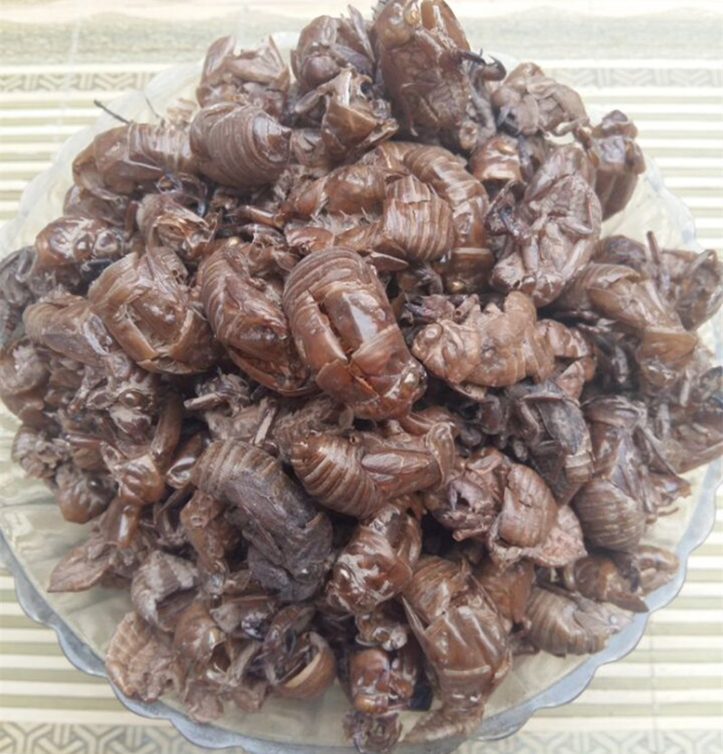 批发中药材蝉蜕 虫蜕 虫退 燎哑 水洗蝉蜕