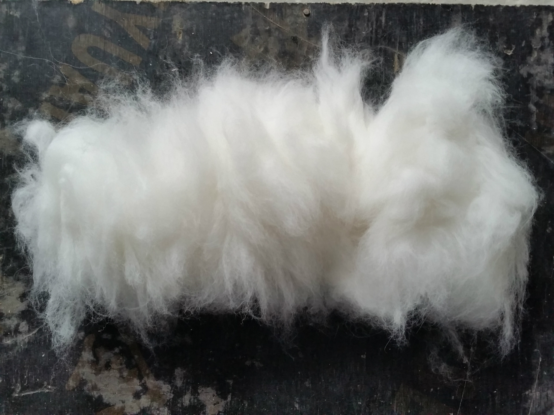 大丰是全国优质兔毛生产基地,所生产的兔毛原毛具有长,白,松,净的特点