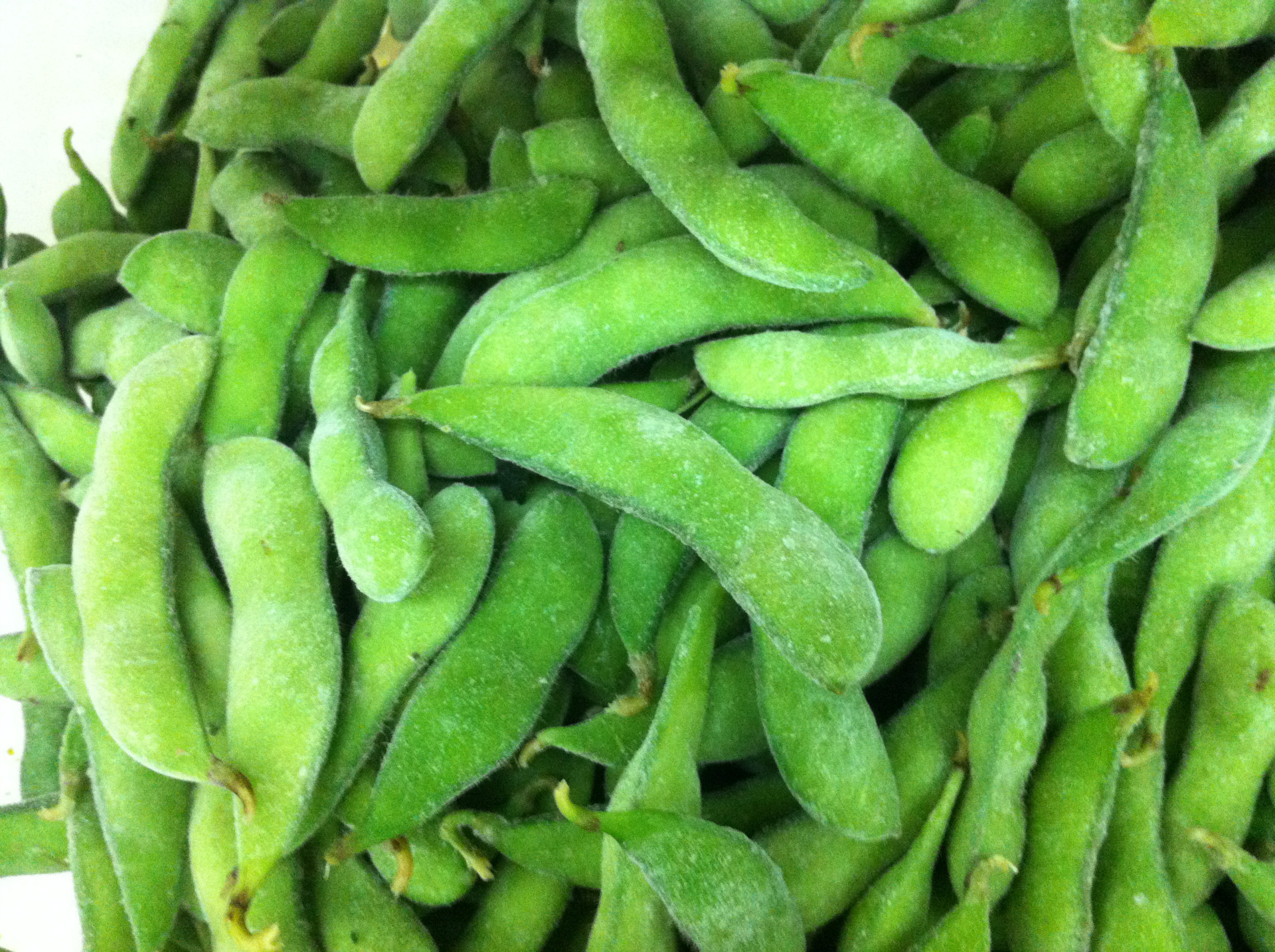 供应iqf毛豆荚外销标准