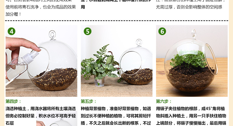 创意礼品 高透明苔藓微景观生态瓶 铁架悬挂多肉玻璃瓶 低价批发