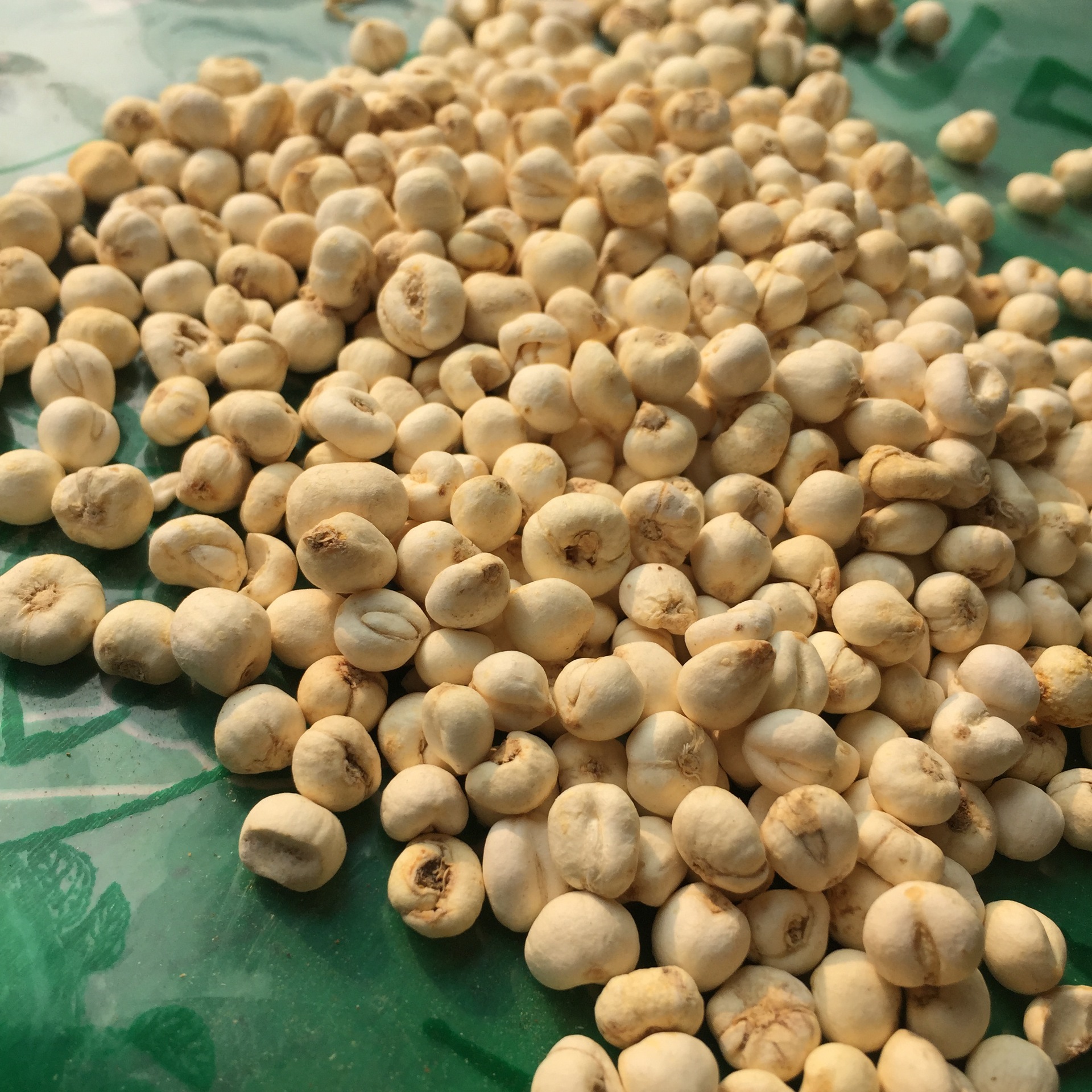 《小贝母》 产地货源散装小贝母 中药材平贝母批发