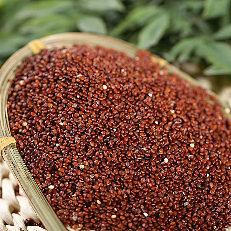 招商精选红藜麦