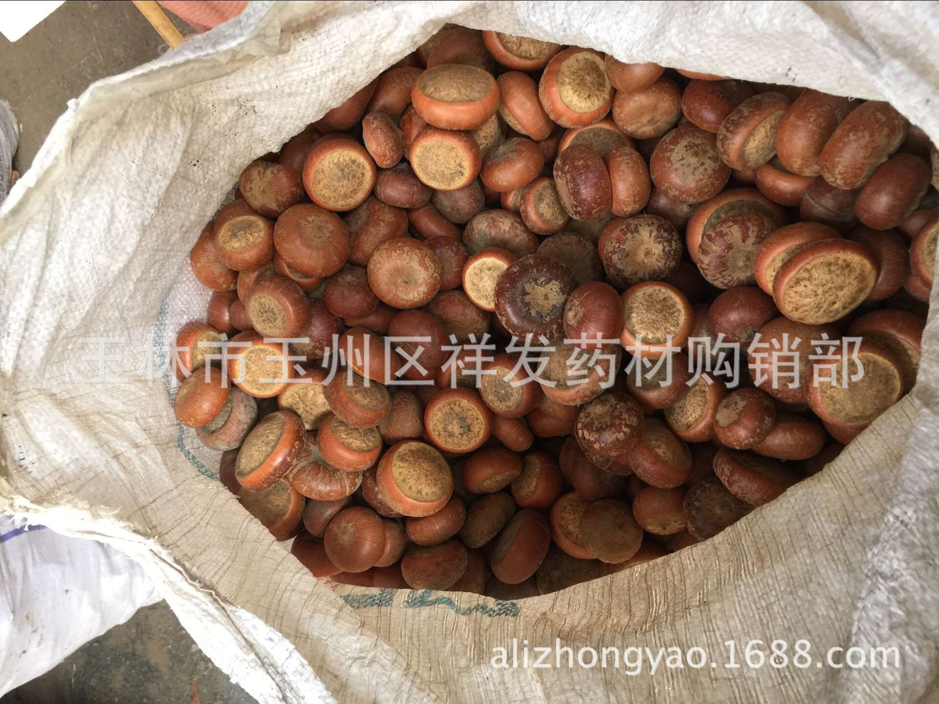 马蹄果 肾果 双肾子益肾果 山马蹄
