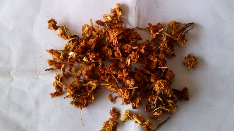 罗汉果花 花草茶 红茉莉花