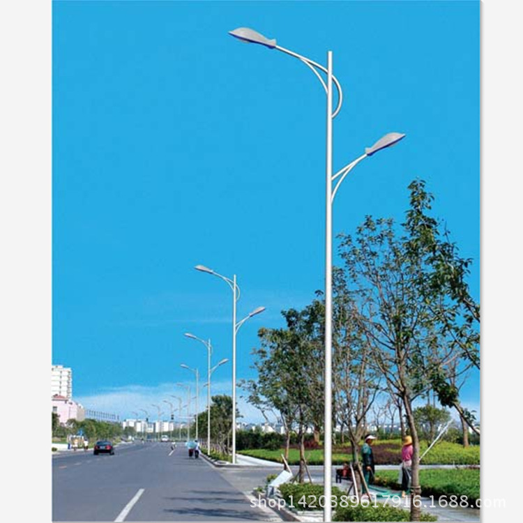 led双臂路灯10m 适用于城市道路广场公园小区路灯杆 道路照明