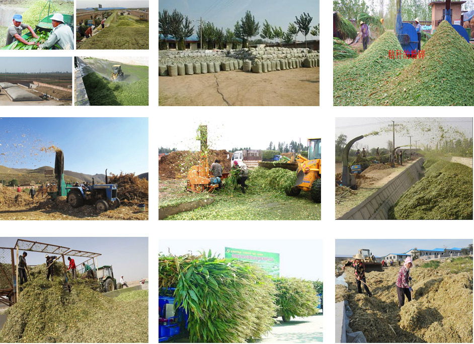 2291203351_1100021463