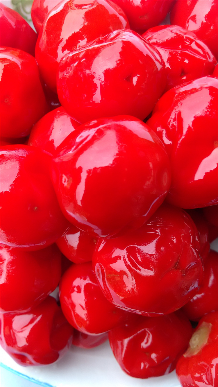 四川特产泡朝天椒新鲜泡椒墨鱼仔专用30kg圆泡椒泡红椒泡菜批发