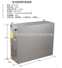 燃气蒸汽发生器 贯流式蒸汽发生器 5秒出蒸汽 即开式 燃气煮浆机