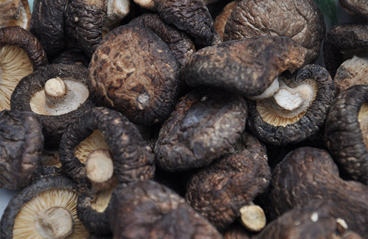 【蜀辣香】大量供应东北 湖北 天然野生干香菇特级木耳 散装500g