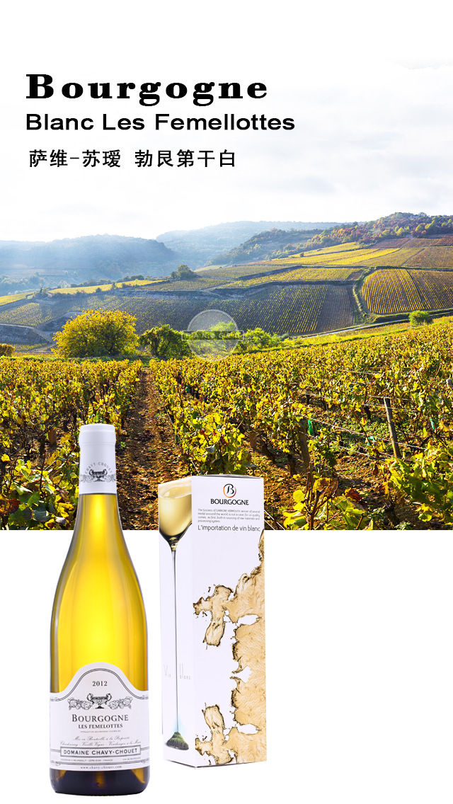 萨维-苏瑷 勃艮第干白