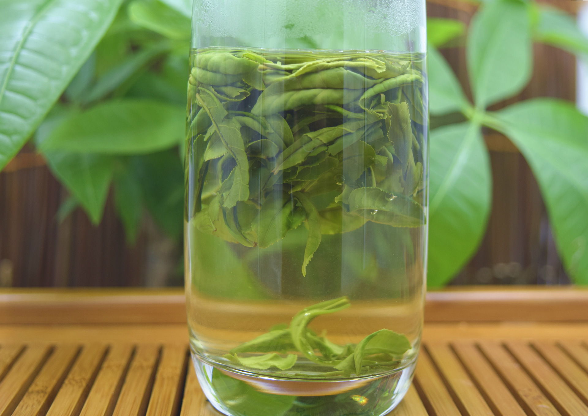 2016新茶绿茶散装高山六安瓜片明前茶色泽嫩绿口感醇厚