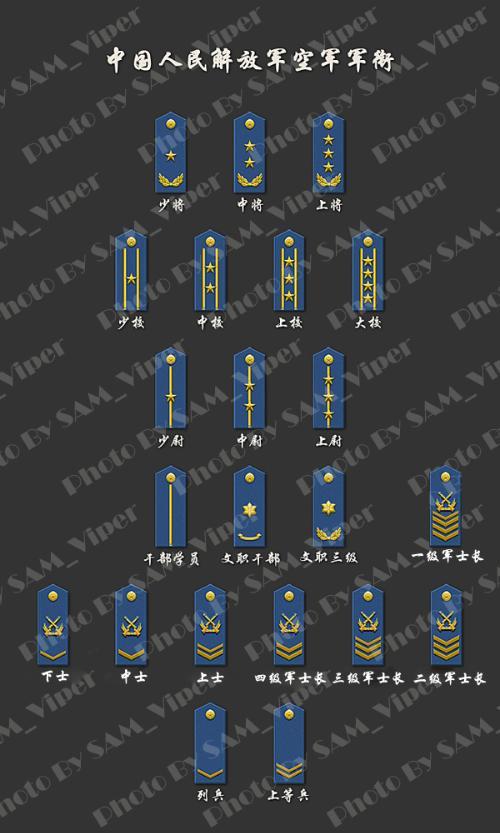 帮我留意下网上有没中校少校少尉军衔的领章